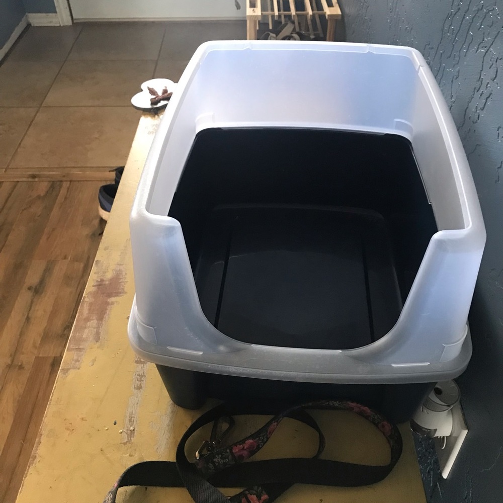 Cat box
